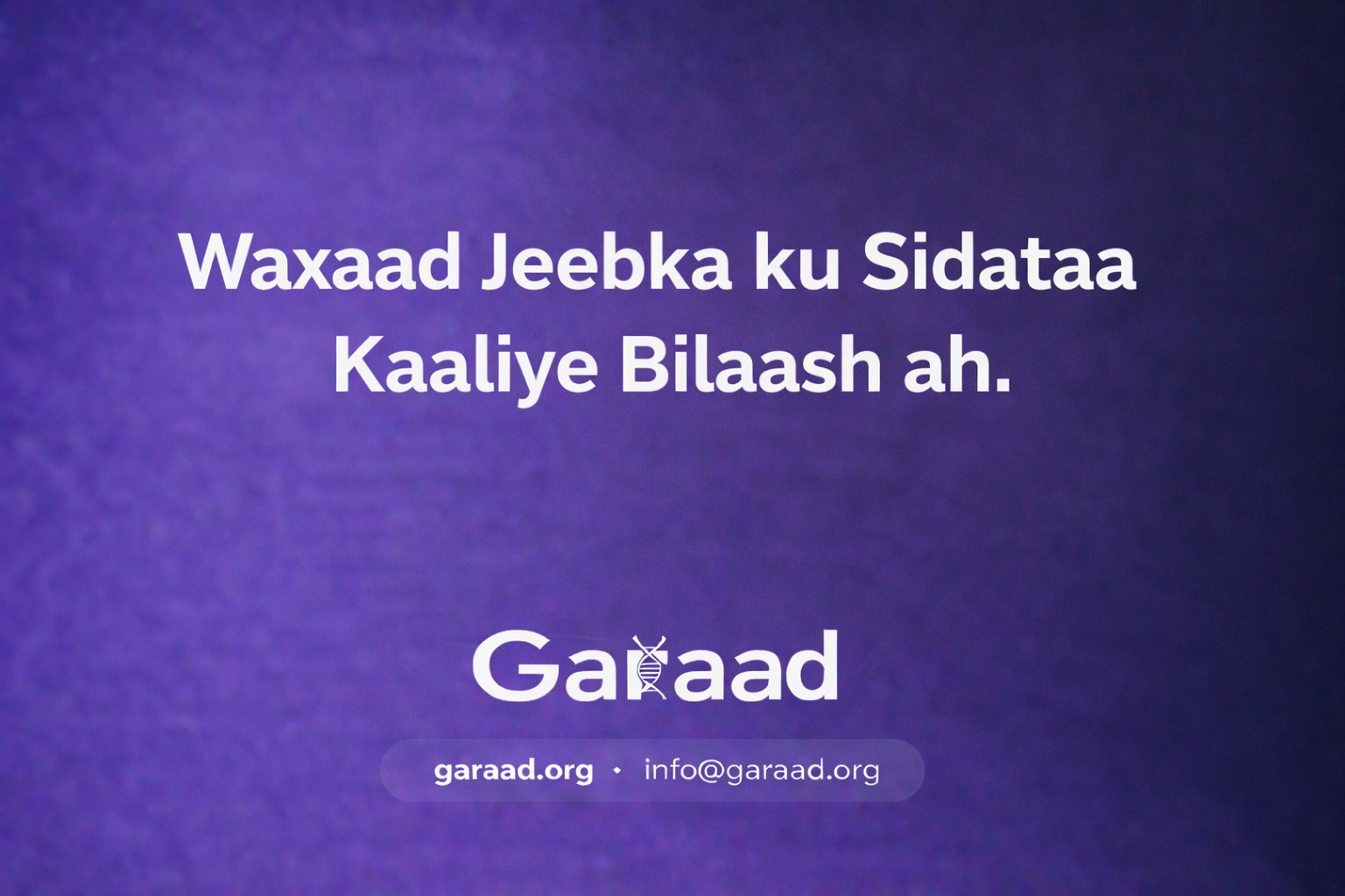 Waxaad Jeebka ku Sidataa Kaaliye Bilaash ah (AI).